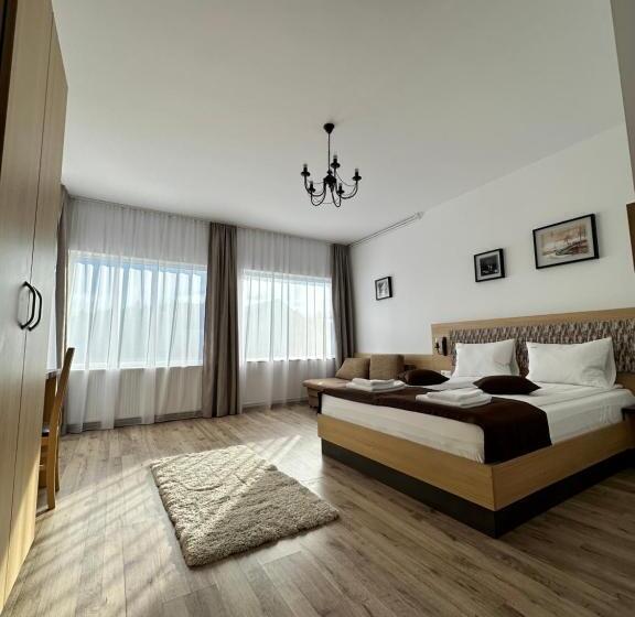 بنسيون Vila Paltinis