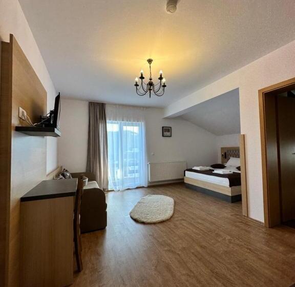 بنسيون Vila Paltinis