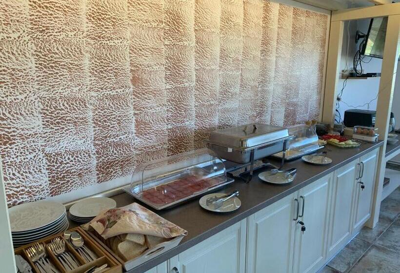 بنسيون Vila Paltinis