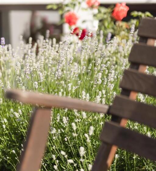 Pension Gulla   Ferienhaus Appartements B&b