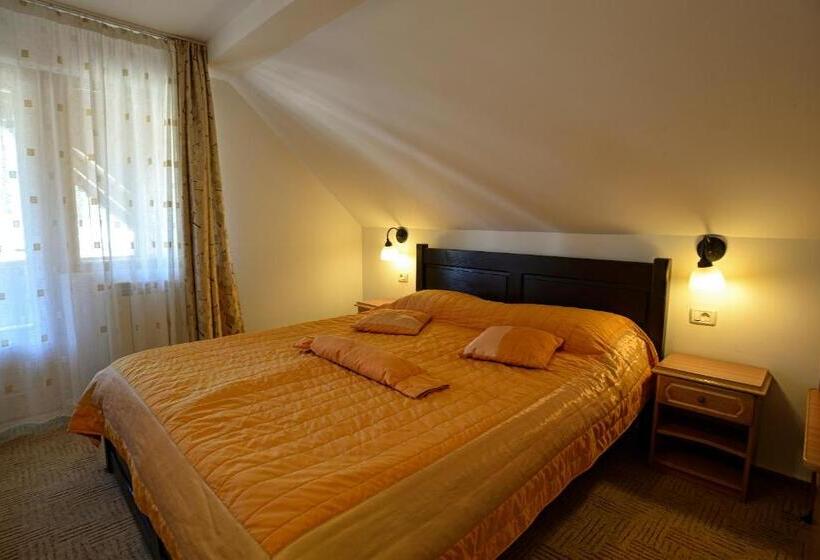 Pensiunea Casa Elvira