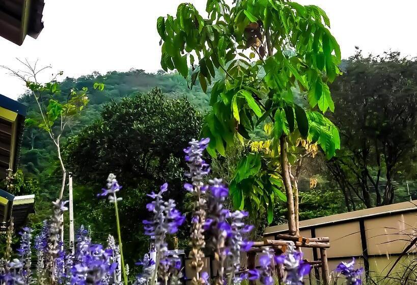 منتجع บ้านโจมเขาใหญ่ Baan Jome Khaoyai