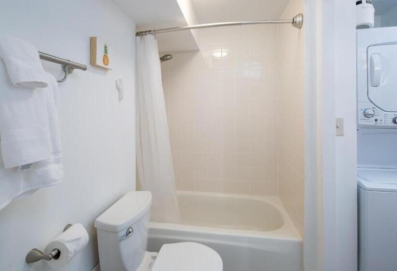 Waikiki Penthouse @ The Monarch