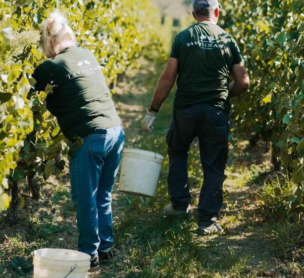 هاستل La Guest House Della Tenuta Di Tavignano