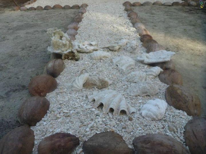 Общежитие Nyang Ebay Surf Camp Siberut Mentawai Surfing Barrels