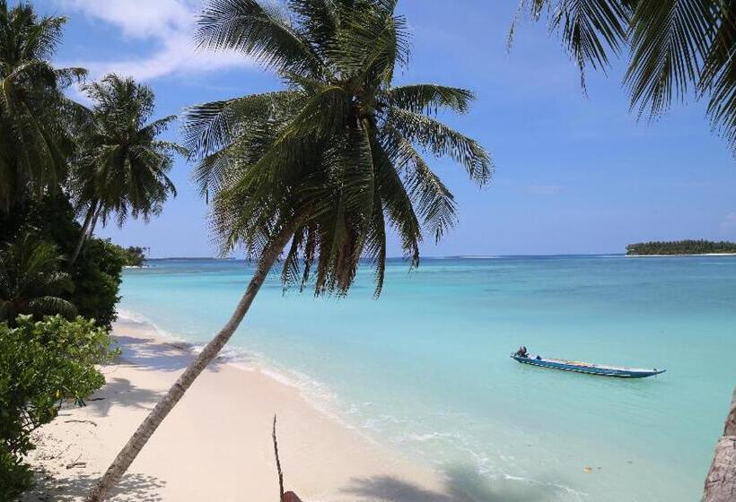 Общежитие Nyang Ebay Surf Camp Siberut Mentawai Surfing Barrels