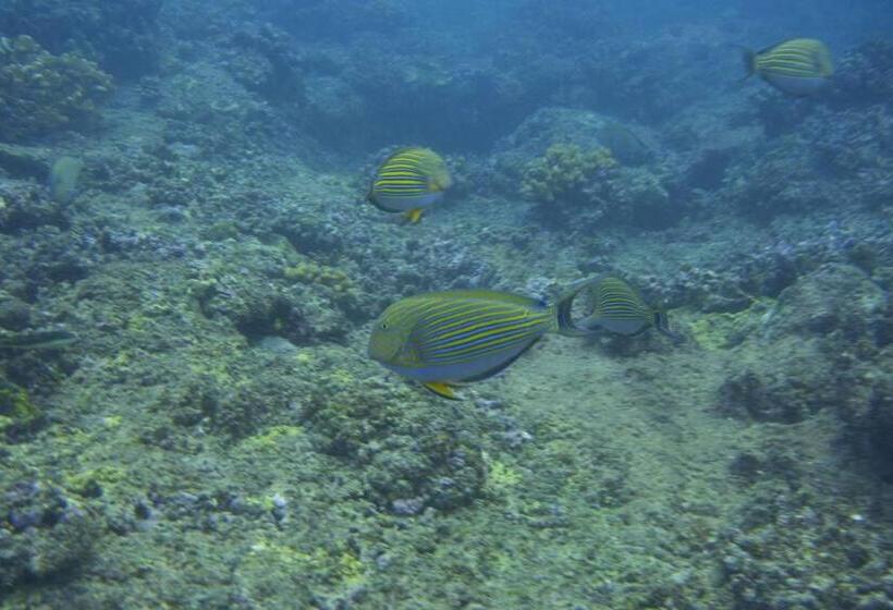 Общежитие Nyang Ebay Surf Camp Siberut Mentawai Surfing Barrels