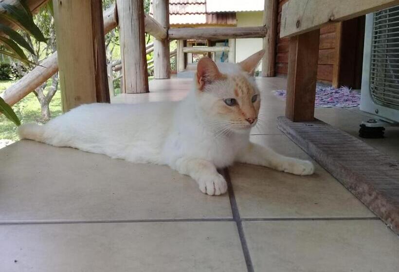 فندق صغير Pousada Rio Do Ouro