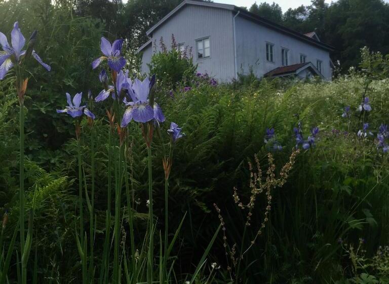 Общежитие Sågverket Höga Kusten