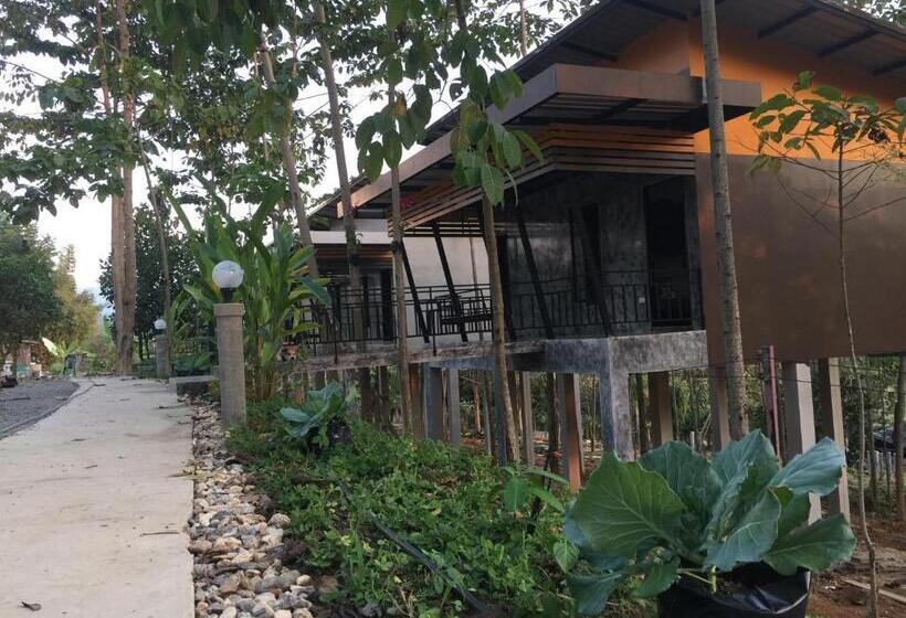 Baan Rai Phufah Resort Chiangrai