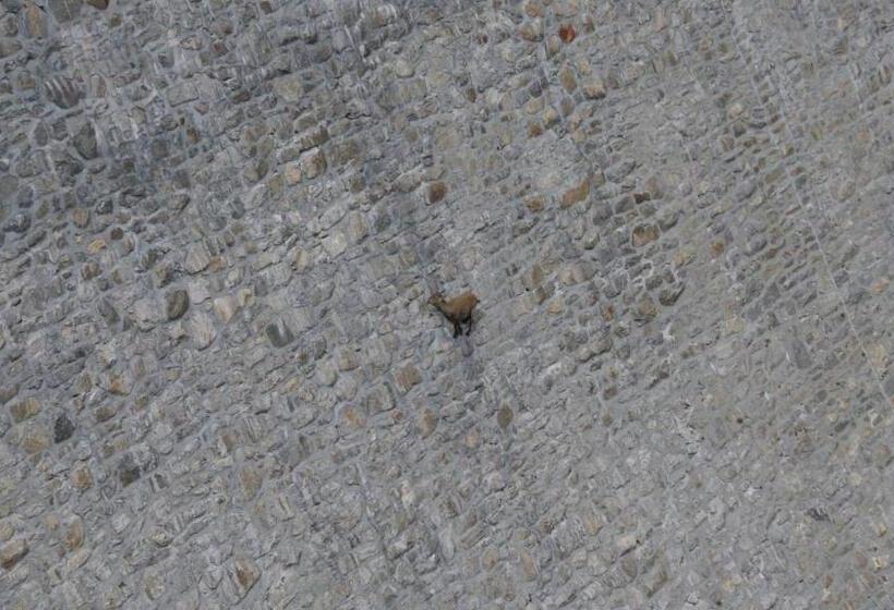 B&b Dove Comincia La Bella Italia