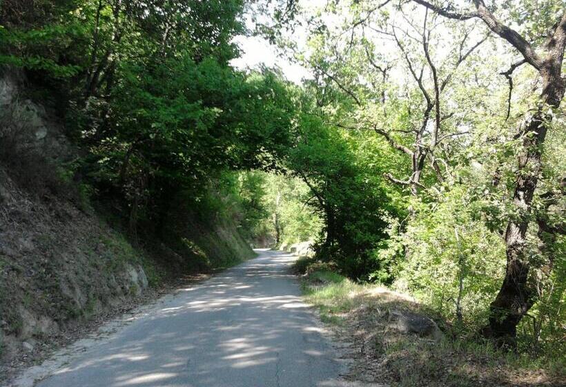 B&b Villa Filetta