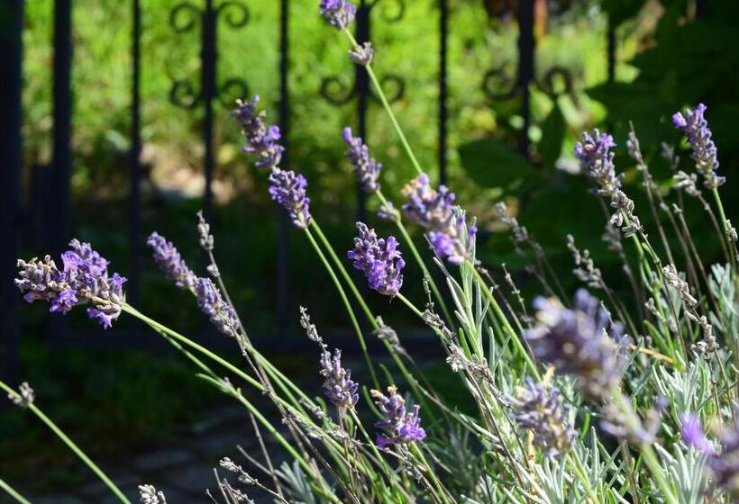 צימר Bnb Villa Levanta