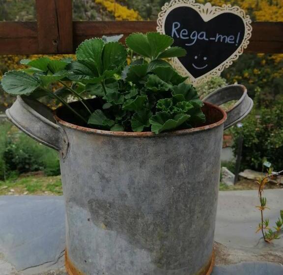 ベッドアンドブレックファースト Casa Do Alto   Benfeita