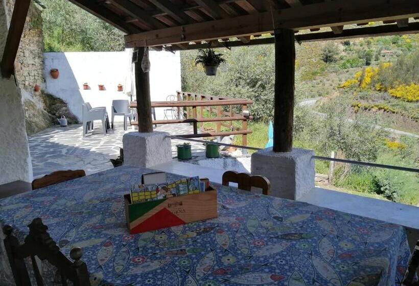 ベッドアンドブレックファースト Casa Do Alto   Benfeita