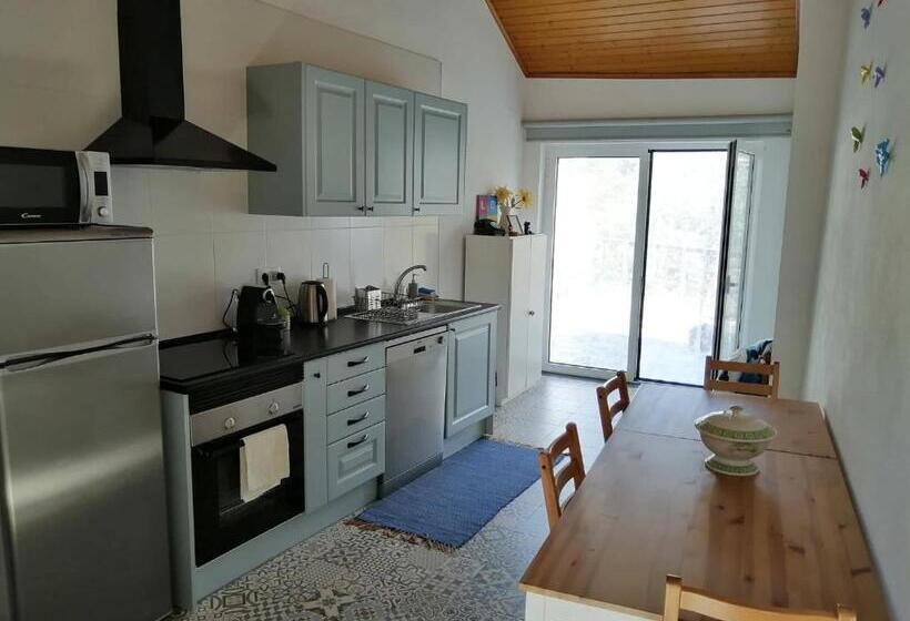 ベッドアンドブレックファースト Casa Do Alto   Benfeita