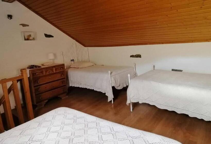 ベッドアンドブレックファースト Casa Do Alto   Benfeita