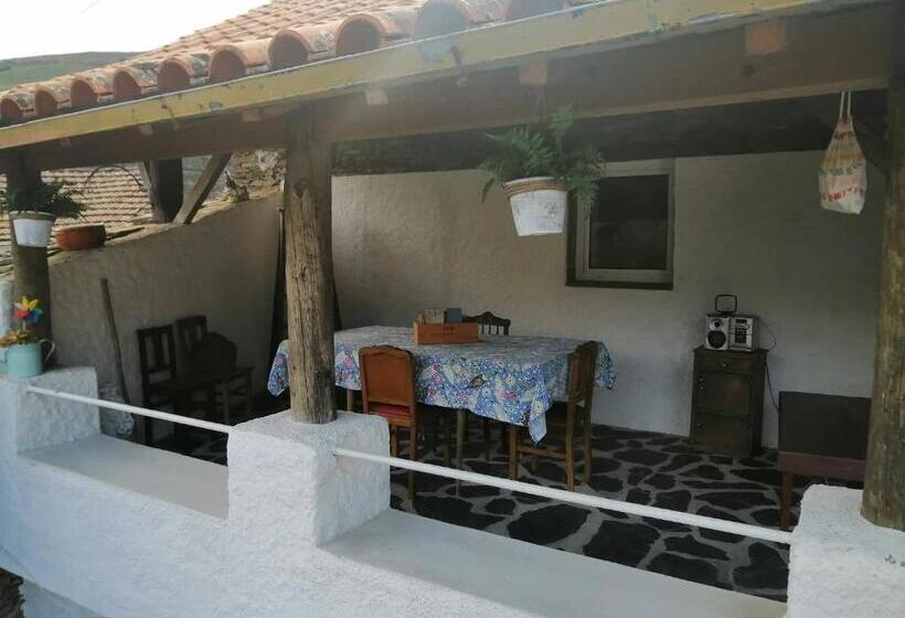 ベッドアンドブレックファースト Casa Do Alto   Benfeita