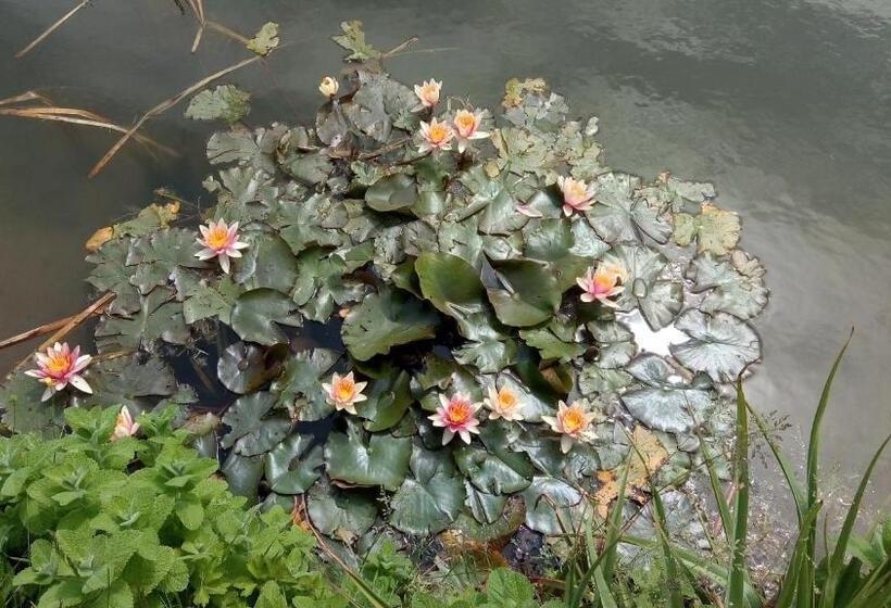 ベッドアンドブレックファースト Chambre D Hotes Le Pigeonnier