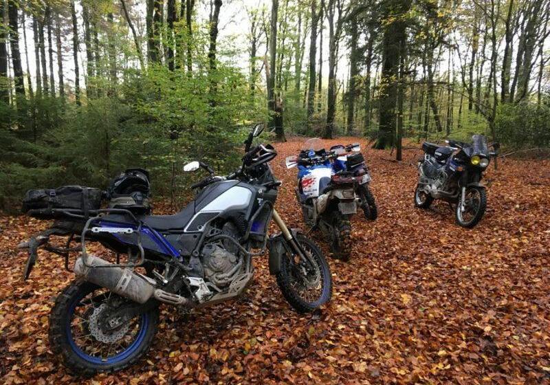 مبيت وإفطار Chambres D Hôtes La Maison De Monsieur Chaussette