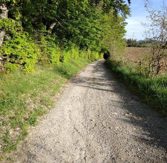 مبيت وإفطار Chambres D Hôtes La Maison De Monsieur Chaussette