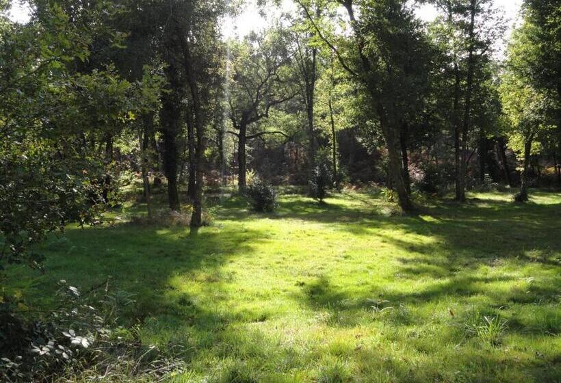 צימר Les Chambres D Hôtes Du Domaine De Lugazaut