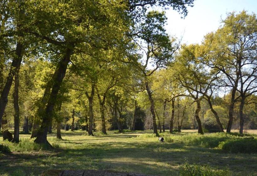 צימר Les Chambres D Hôtes Du Domaine De Lugazaut