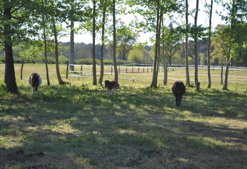 צימר Les Chambres D Hôtes Du Domaine De Lugazaut