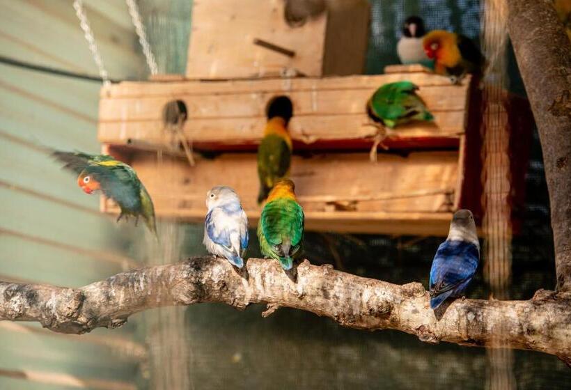 민박 Chambres D Hôtes Naturistes  Cabanadelsol   Adults Only