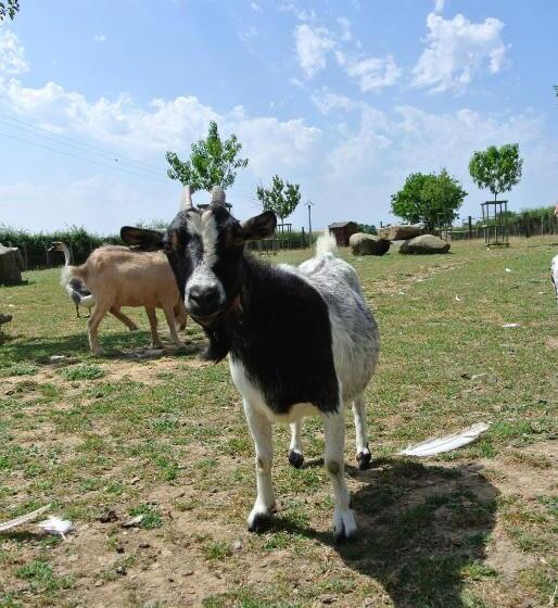 민박 Chez Michel Et Josette