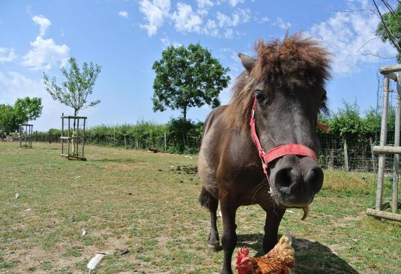민박 Chez Michel Et Josette