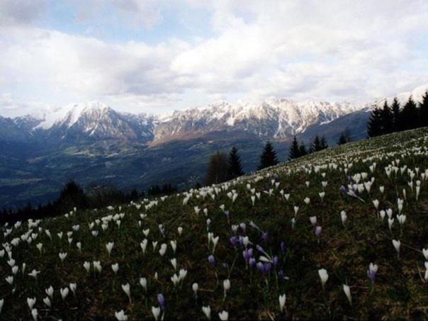 住宿加早餐 Da C I S A