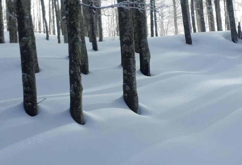 住宿加早餐 Da C I S A