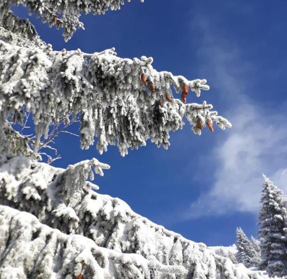 住宿加早餐 Da C I S A