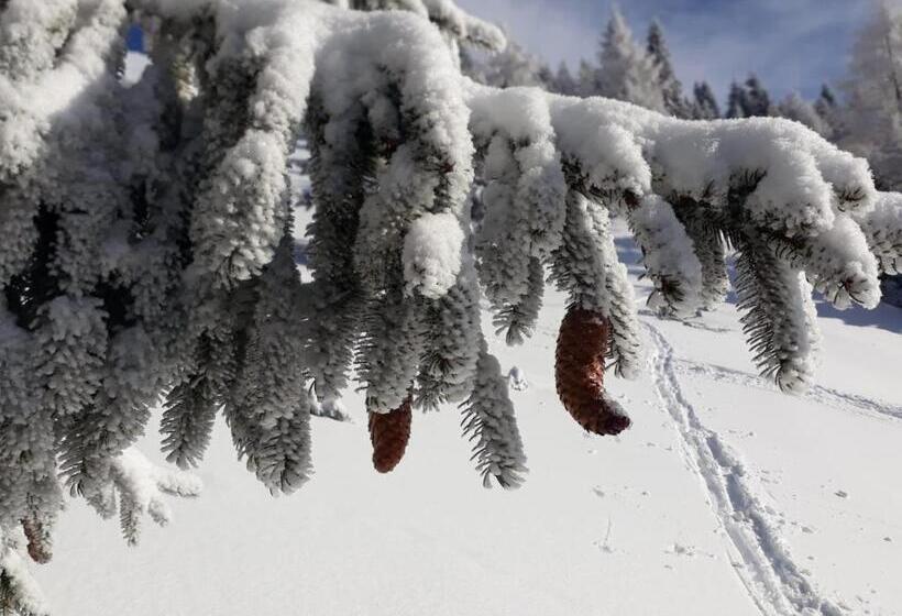 住宿加早餐 Da C I S A