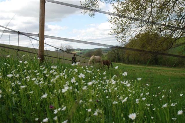 مبيت وإفطار Chambre D Hôtes N3