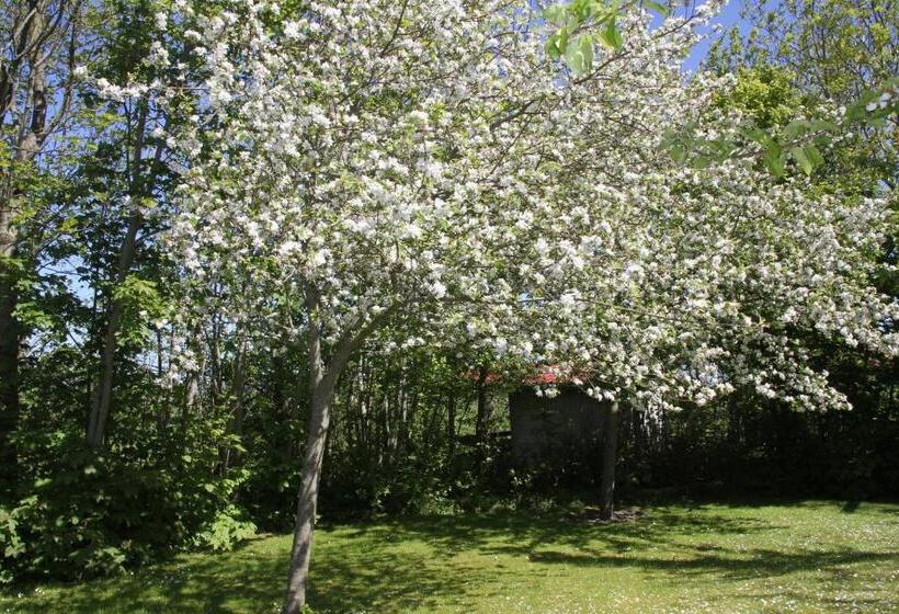 צימר Countryside Eco Natuurhuisjes