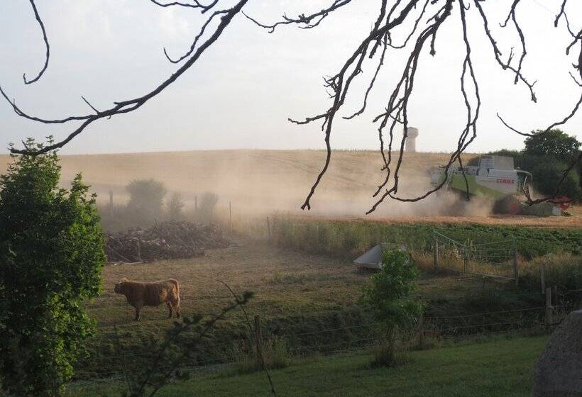 مبيت وإفطار Ferme De Bellevue