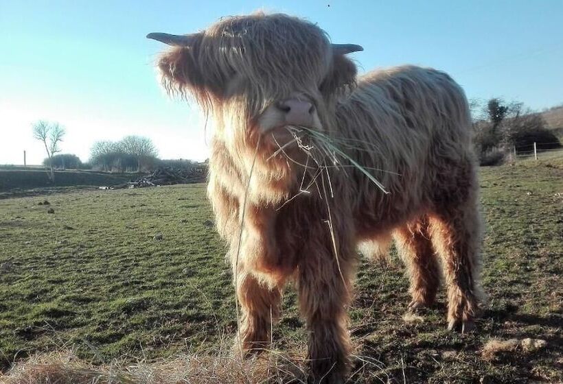 مبيت وإفطار Ferme De Bellevue