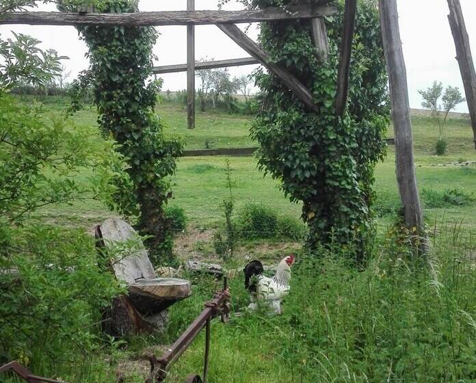 مبيت وإفطار Ferme De Bellevue