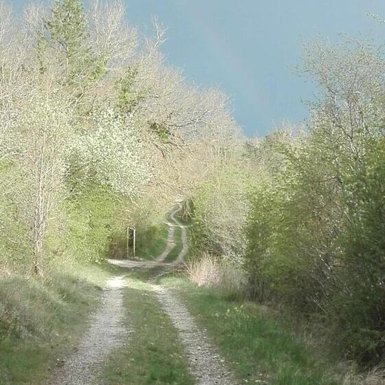 مبيت وإفطار Ferme De Bellevue