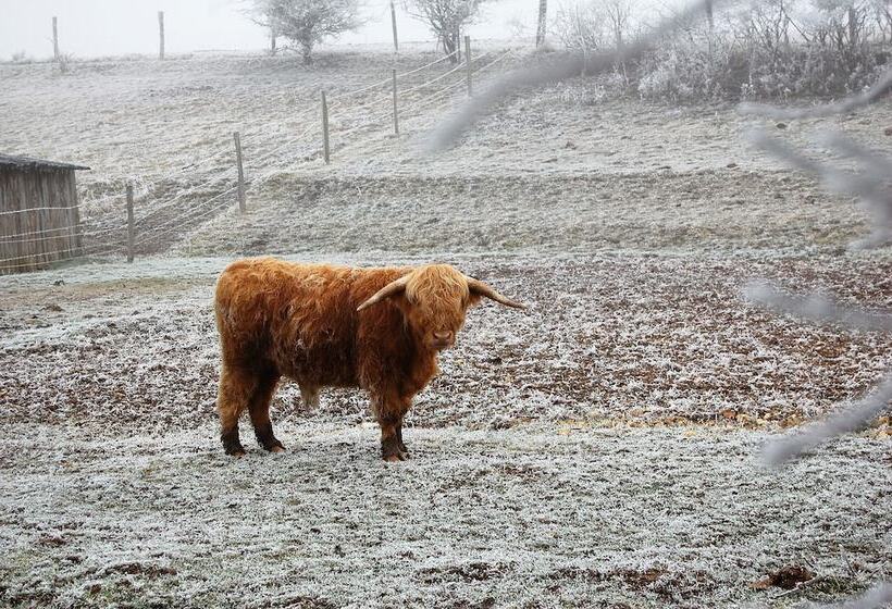 مبيت وإفطار Ferme De Bellevue