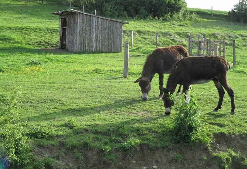مبيت وإفطار Ferme De Bellevue