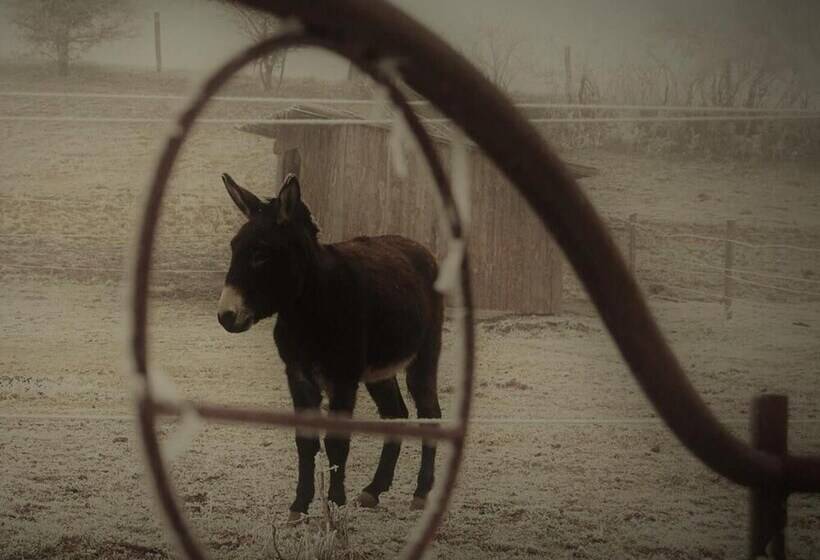 مبيت وإفطار Ferme De Bellevue