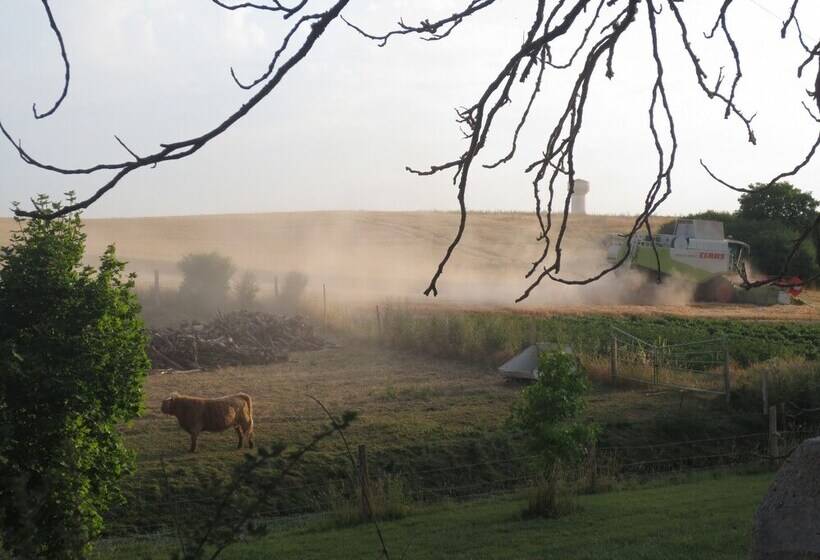 مبيت وإفطار Ferme De Bellevue