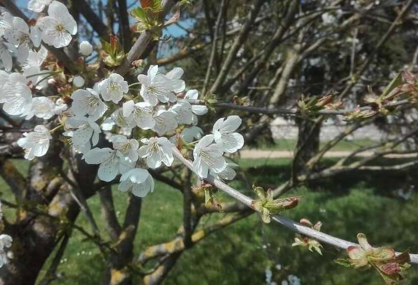 مبيت وإفطار Ferme De Bellevue