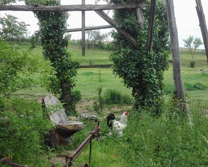 مبيت وإفطار Ferme De Bellevue