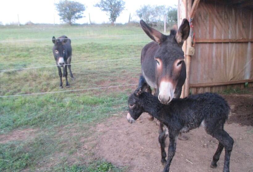 مبيت وإفطار Ferme De Bellevue