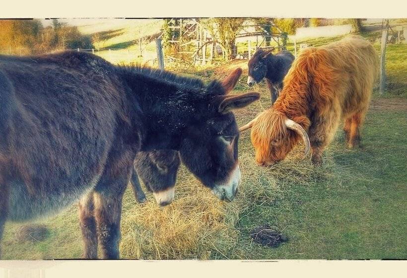 مبيت وإفطار Ferme De Bellevue