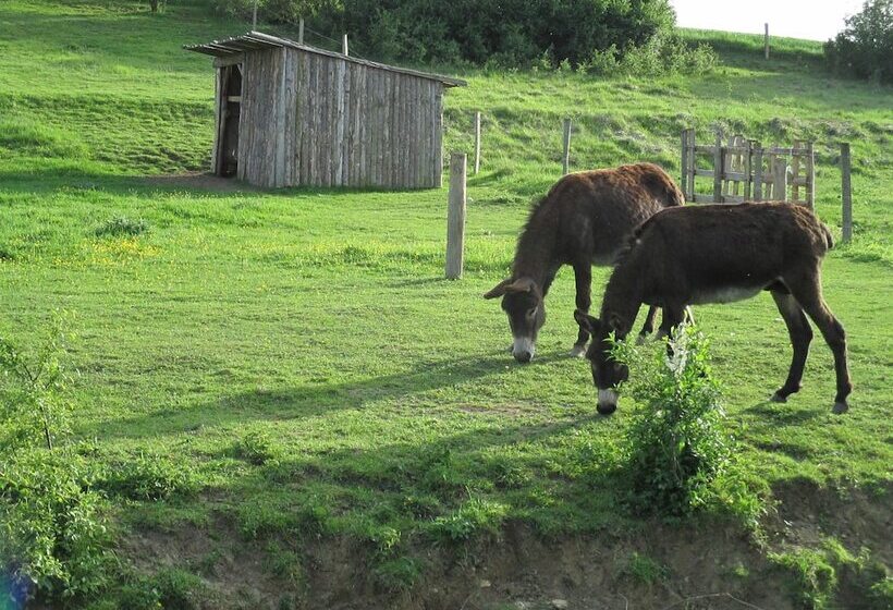 مبيت وإفطار Ferme De Bellevue